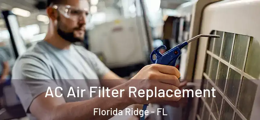 AC Air Filter Replacement Florida Ridge - FL
