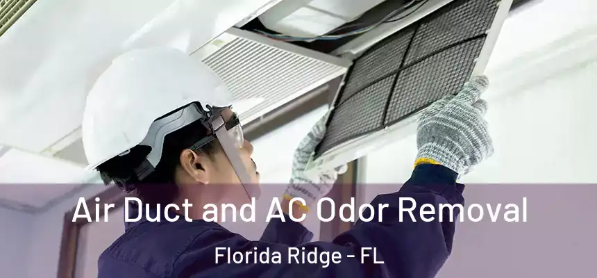 Air Duct and AC Odor Removal Florida Ridge - FL