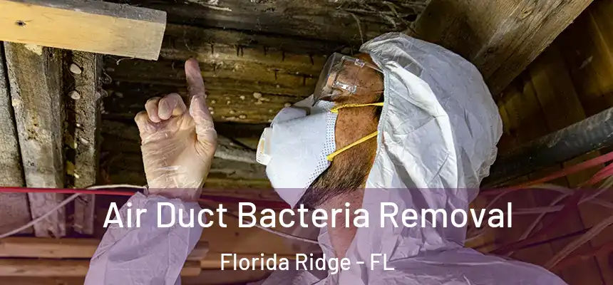 Air Duct Bacteria Removal Florida Ridge - FL