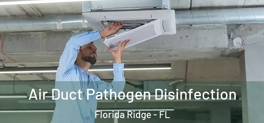 Air Duct Pathogen Disinfection Florida Ridge - FL