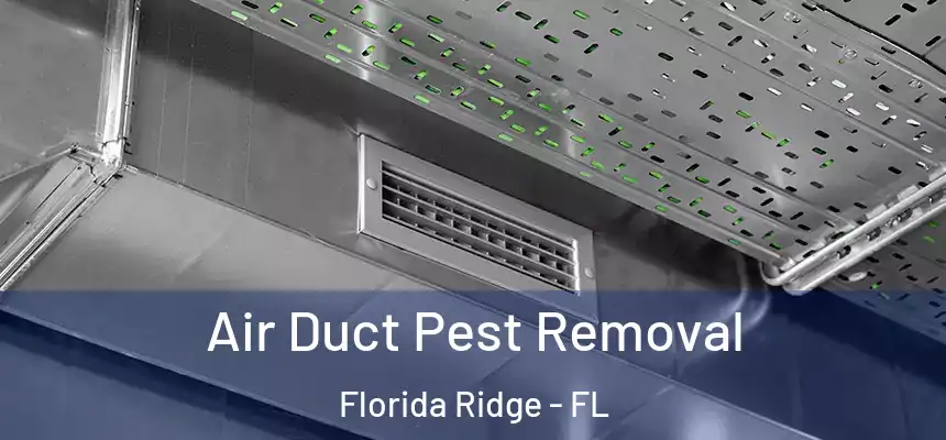 Air Duct Pest Removal Florida Ridge - FL