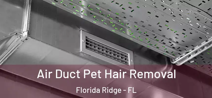 Air Duct Pet Hair Removal Florida Ridge - FL