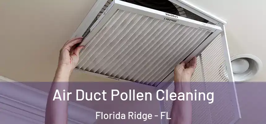 Air Duct Pollen Cleaning Florida Ridge - FL