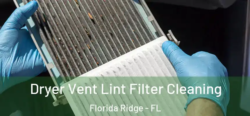 Dryer Vent Lint Filter Cleaning Florida Ridge - FL