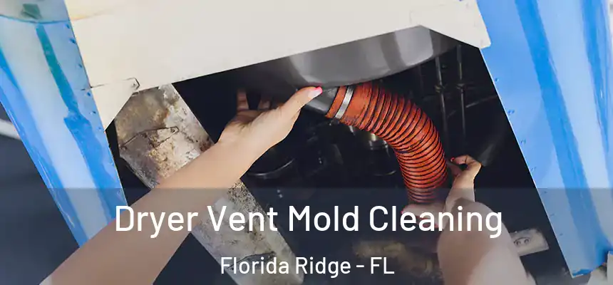 Dryer Vent Mold Cleaning Florida Ridge - FL