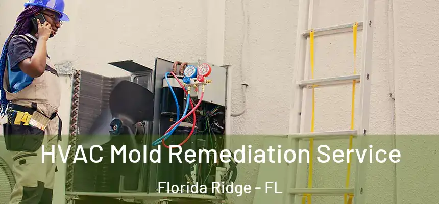 HVAC Mold Remediation Service Florida Ridge - FL