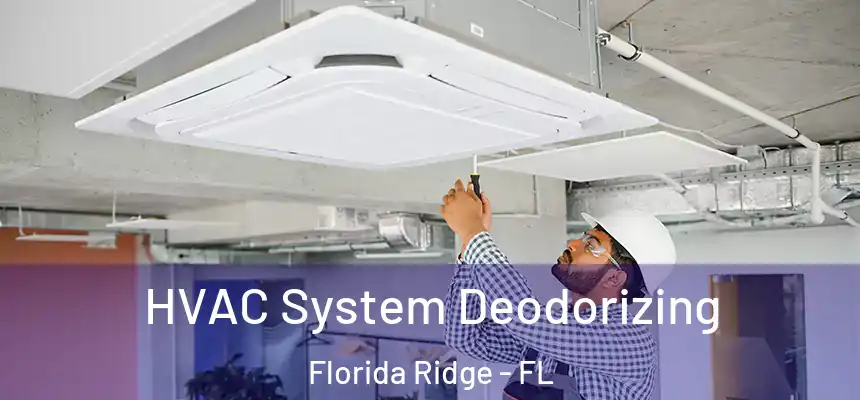 HVAC System Deodorizing Florida Ridge - FL