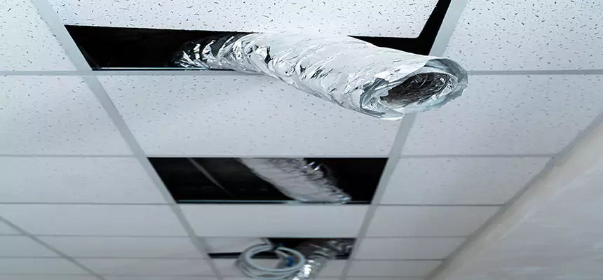 Affordable HVAC Sanitizing After Pest Removal in Florida Ridge