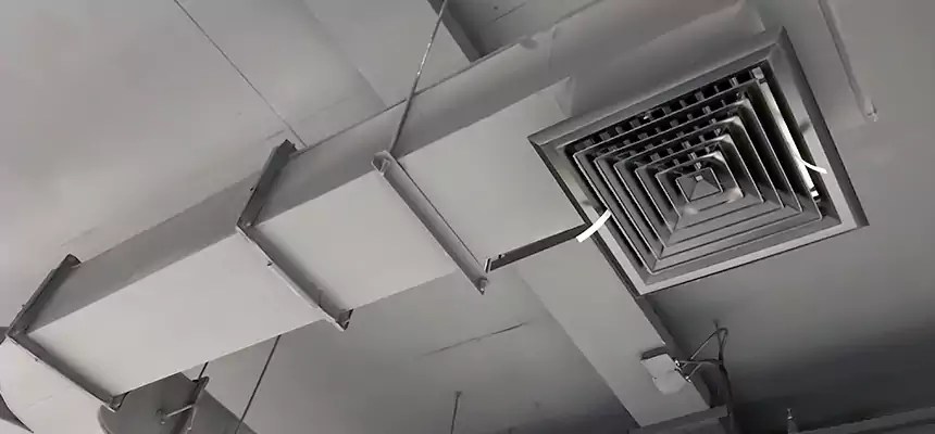 Restorative Allergy Relief Vent Cleaning – Coil, Blower & Housing Detail in Florida Ridge