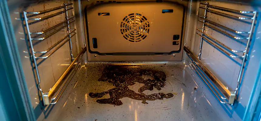 Our Dryer Vent Mold Cleaning Services in Florida Ridge, FL