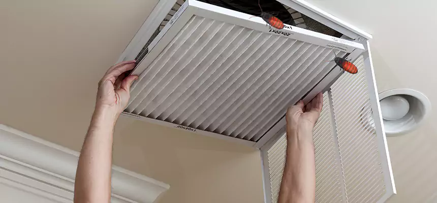 Our Insect Removal from Air Ducts Services in Florida Ridge, FL