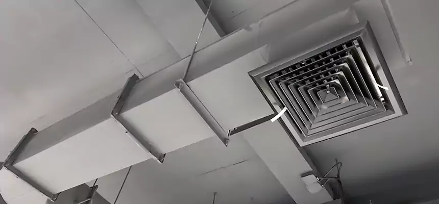 Our Pest Removal From Ducts Services in Florida Ridge, FL