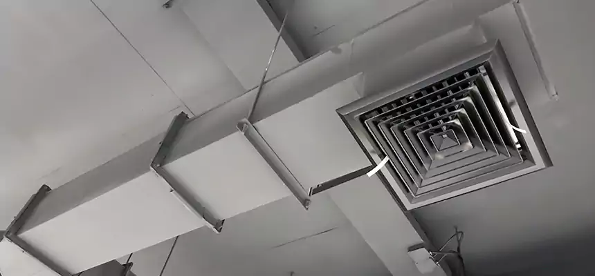 Our Rodent Droppings In Vents Services in Florida Ridge, FL