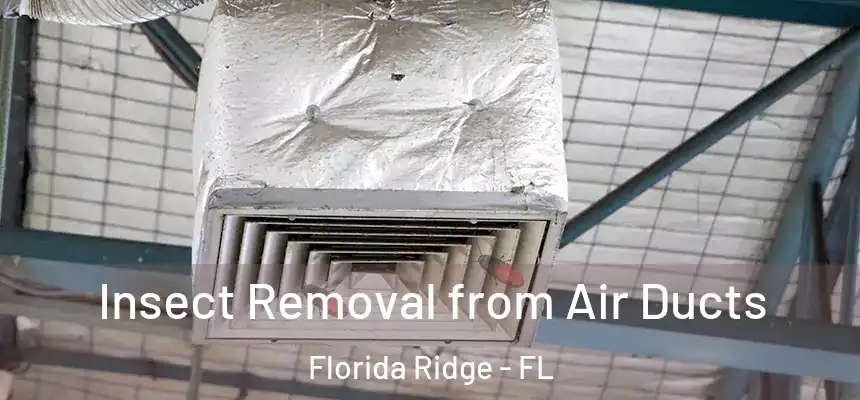 Insect Removal from Air Ducts Florida Ridge - FL