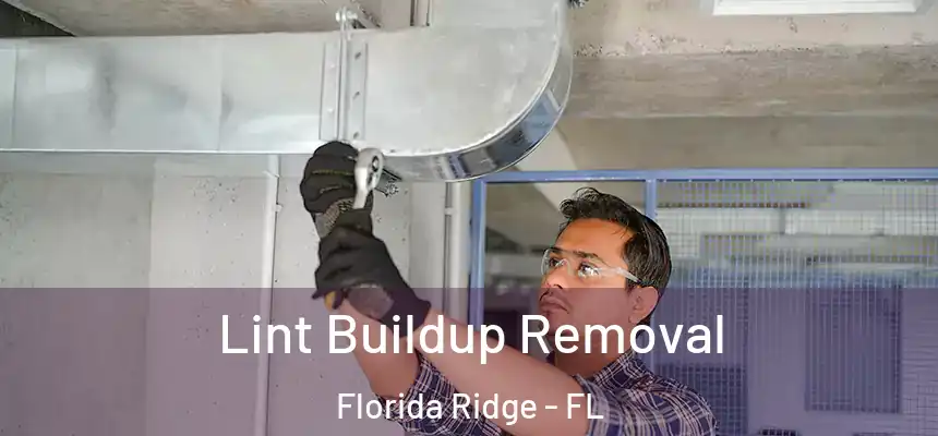 Lint Buildup Removal Florida Ridge - FL