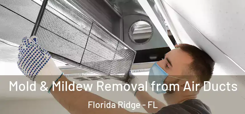 Mold & Mildew Removal from Air Ducts Florida Ridge - FL