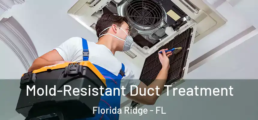 Mold-Resistant Duct Treatment Florida Ridge - FL