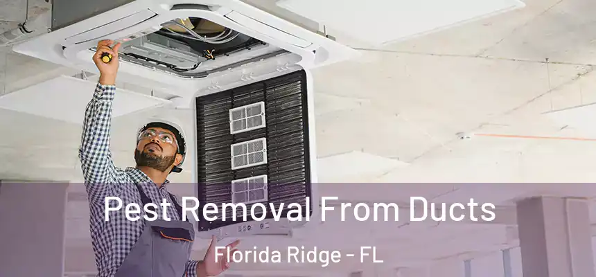 Pest Removal From Ducts Florida Ridge - FL