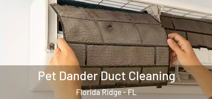 Pet Dander Duct Cleaning Florida Ridge - FL