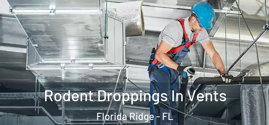 Rodent Droppings In Vents Florida Ridge - FL