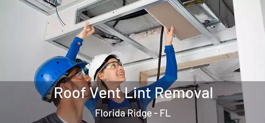 Roof Vent Lint Removal Florida Ridge - FL