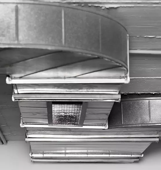 Professional Air Duct Pest Removal in Florida Ridge, FL