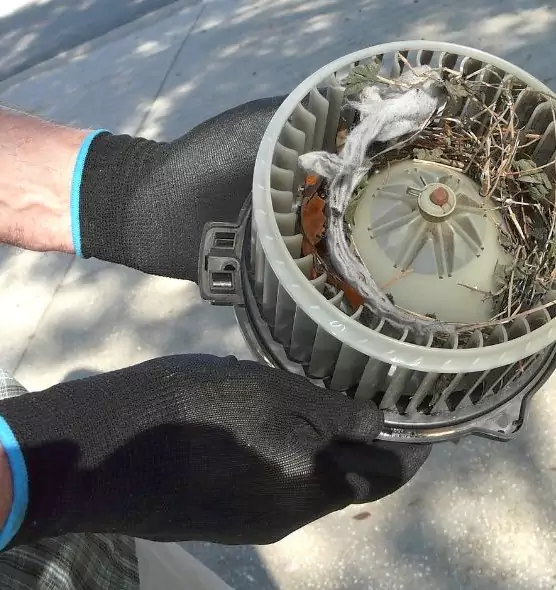 About Air Duct Rat Removal in Florida Ridge, FL