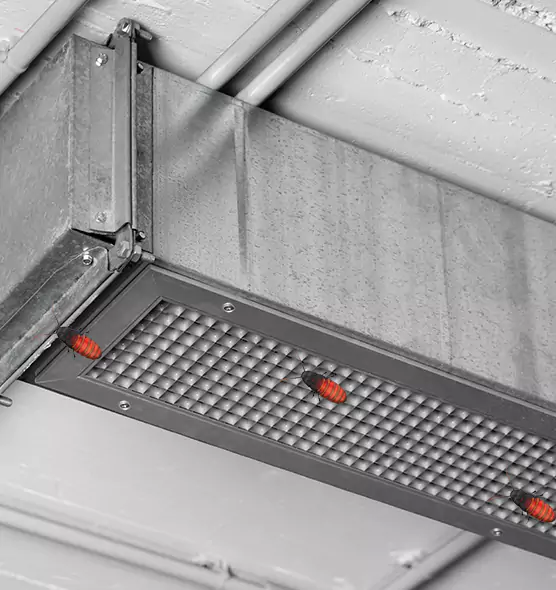 Affordable Insect Removal from Air Ducts in Florida Ridge, FL