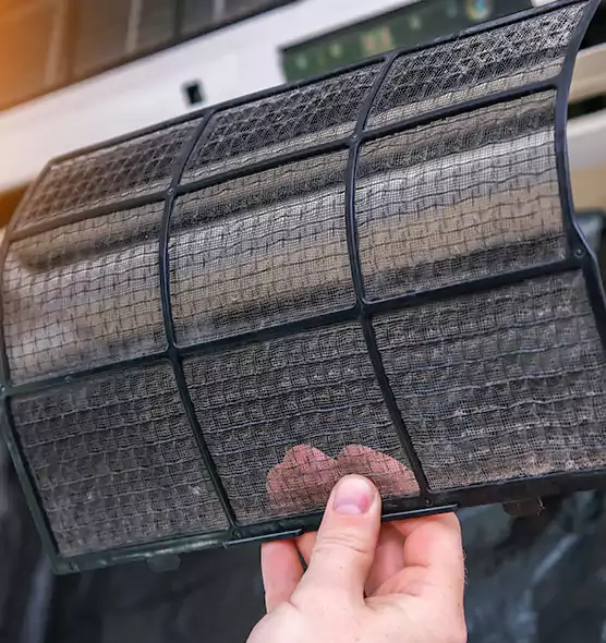 About Pet Dander Duct Cleaning in Florida Ridge, FL